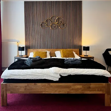 公寓 King Clusion 科布倫茨